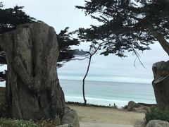 -卡梅尔海