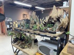 -周忆刺青原创设计定制