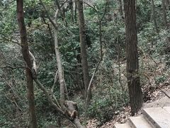 -黔灵山公园