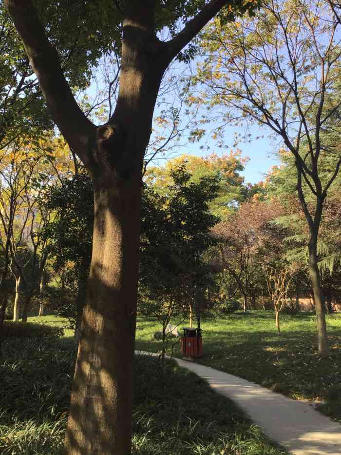 嘉绿苑公园-"轻轻地,拨开树木的掩映,一幅精美的画面,.