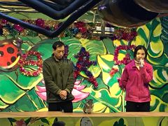 -上海大自然野生昆虫馆(东方明珠·爬宠昆虫探索中心)