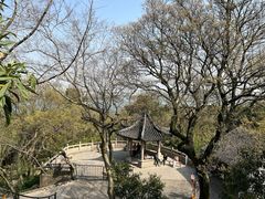 -苏州上方山国家森林公园