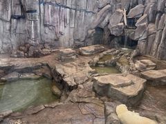-西安曲江海洋极地公园