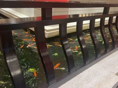 -龙悦湾酒家·八阵鱼生·渔人码头店
