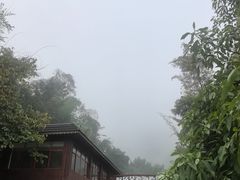 -野象谷景区