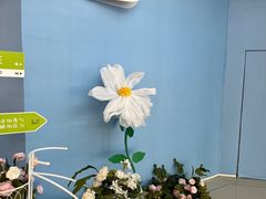 -皇城恒隆广场