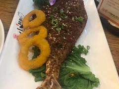 -福苗小骆驼烧烤(莲湖路店)