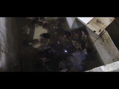 -龟场私房菜