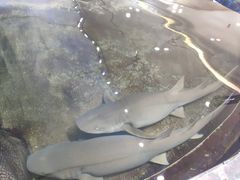 -鸿通城购物中心