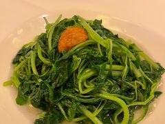 上汤苋菜-利苑酒家(合景国际金融广场店)