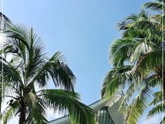 -中国（海南）南海博物馆