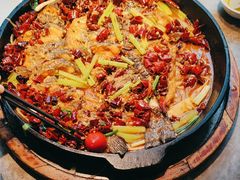 -老板恋上鱼(恒隆广场店)