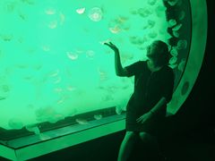 -沈阳海洋探索中心