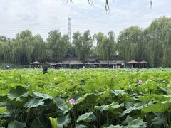 -潇湘甲鱼村(清河店)