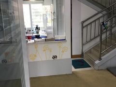 -pd派德宠物中心医院24H急重症·眼科中心·血液透析中心(嵩山北路店)