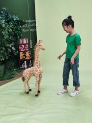 -小鬼当佳儿童摄影(通州外拍店)