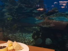 -海棠湾洲际-涛·海底餐厅·美人鱼·自助餐·海底隧道