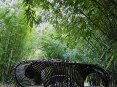 -深圳仙湖植物园