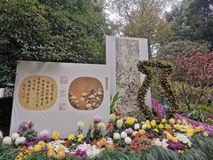 -杭州植物园