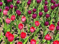 -长春公园(普阳街道)