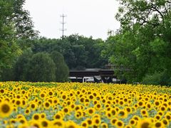 -北京奥林匹克公园