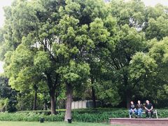 -北外滩滨江绿地