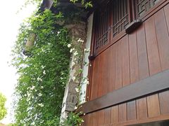-巡塘古镇