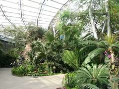 -北京植物园-展览温室