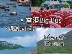 -Big Bus Tours 敞篷观光巴士