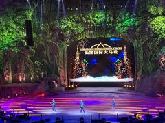 -广州长隆国际大马戏