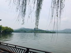 -柳莺湖上·湖景餐厅·江南菜(西湖店)