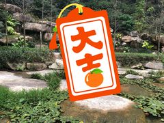 -福道