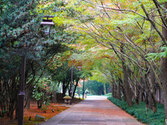 -柯岩风景区
