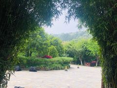 -九龙潭景区