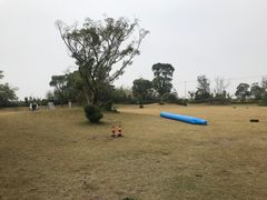 -上海崇明金茂凯悦酒店