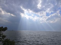 -洱海月湿地公园