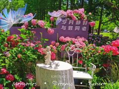 -上海滨江森林公园