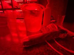 -The Drinkery (瑞金店)