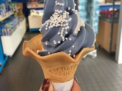-大阪海游馆