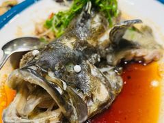 石斑鱼-琼菜王(南海店)