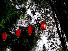 -望江楼公园
