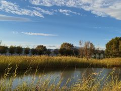 -野鸭湖国家湿地公园