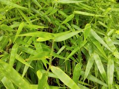 -金堂县云顶石城风景区