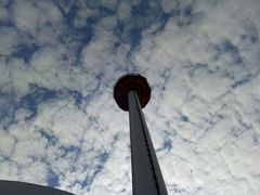 -麦当劳(海洋公园店)