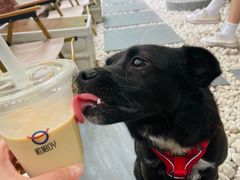 -欧邑咖啡小站 HLab Coffee