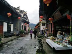 -后柳水乡