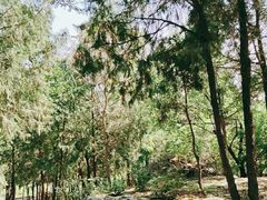 -阳台山自然风景区