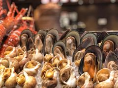 -深圳湾万怡酒店