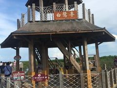 -北海金海湾红树林生态旅游区