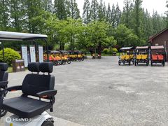 -黄海国家森林公园